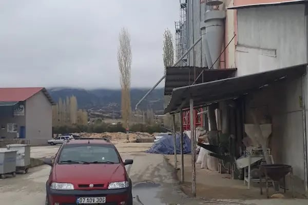 Akdeniz Un Fabrikası - Resim 2