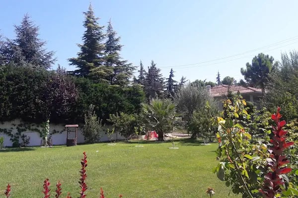 FOTO ÇAMLICA &amp; ÇERÇEVE - Resim 4