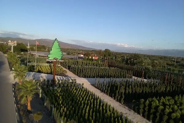 Bayındır Fidan Tar. Ürn. San. Tic. Ltd. Şti - Resim 13