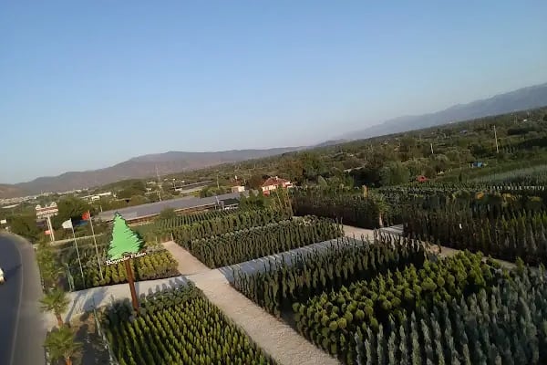 Bayındır Fidan Tar. Ürn. San. Tic. Ltd. Şti - Resim 17
