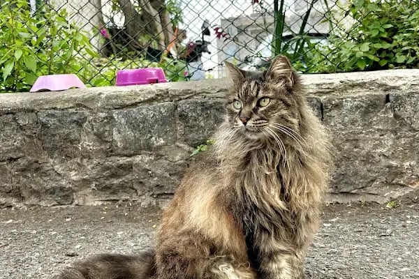 Onur Foto Cihangir - Resim 18