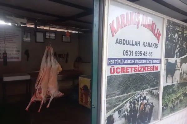 KARAKIŞ ADAKLIK - Resim 2