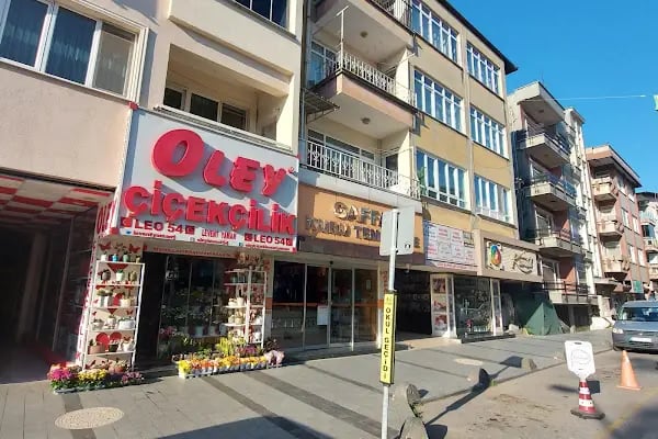 Oley çiçekçilik - Resim 2