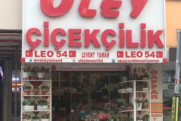 Oley çiçekçilik - Resim 1