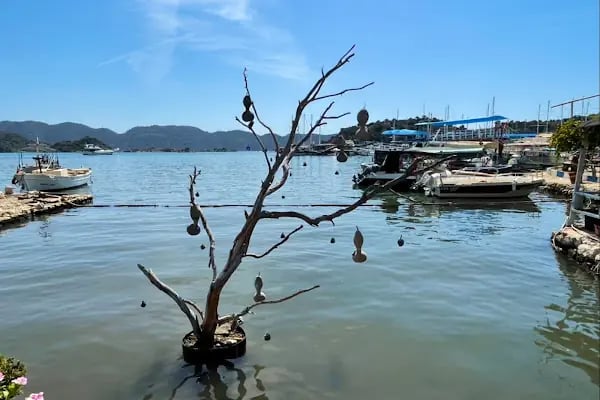 Kekova Otopark - Resim 20