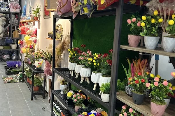 Yiğit Çiçekçilik (Flowers) - Resim 16