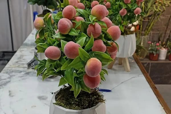 Yiğit Çiçekçilik (Flowers) - Resim 7