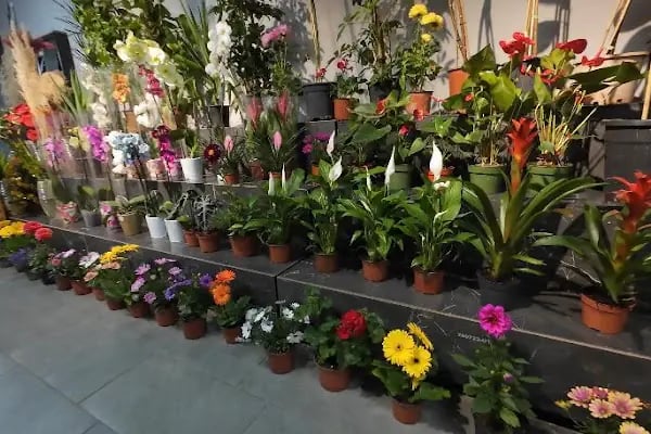Yiğit Çiçekçilik (Flowers) - Resim 13