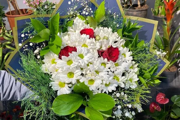 Yiğit Çiçekçilik (Flowers) - Resim 5