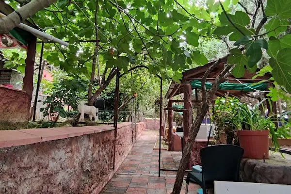Çiğdem restaurant kuzu çevirme - Resim 3