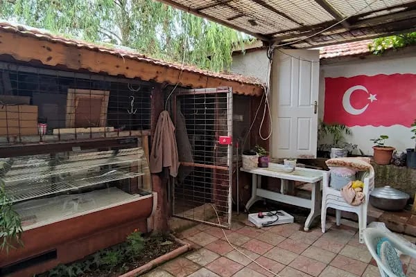 Çiğdem restaurant kuzu çevirme - Resim 12