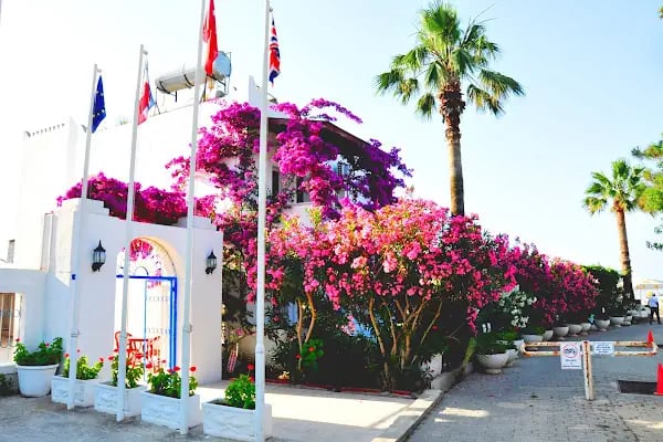 Regal Otel Bitez - Resim 8