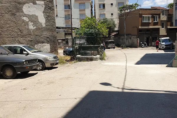 Arpacı Dede Türbesi - Resim 19
