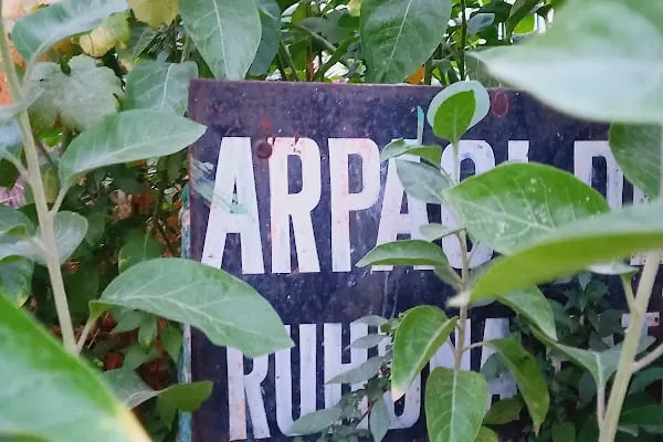 Arpacı Dede Türbesi - Resim 10