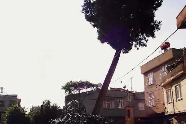 Arpacı Dede Türbesi - Resim 8