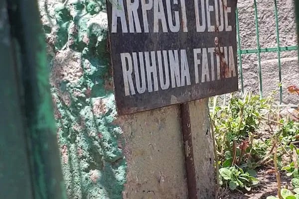 Arpacı Dede Türbesi - Resim 11