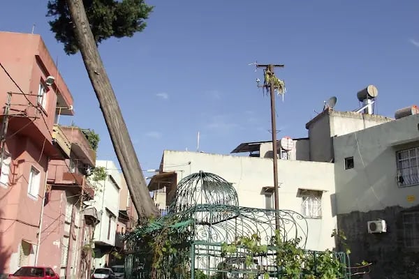 Arpacı Dede Türbesi - Resim 16