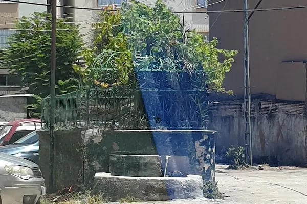 Arpacı Dede Türbesi - Resim 17