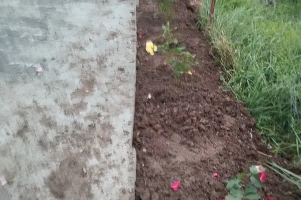 Ayaz Kurbanlık Süt Ve Besi Çiftliği - Resim 7