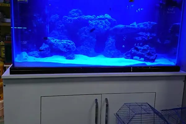 Yunus Park Pet Shop (YILDIRIM/BURSA) - Resim 19