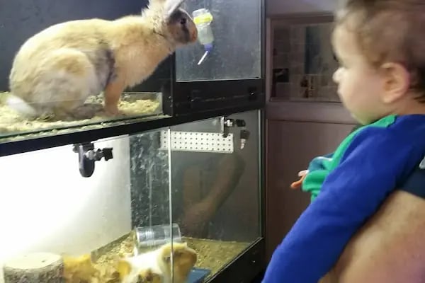 Yunus Park Pet Shop (YILDIRIM/BURSA) - Resim 9