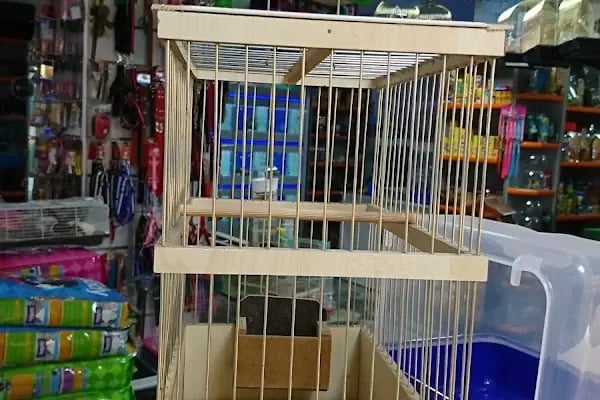 Yunus Park Pet Shop (YILDIRIM/BURSA) - Resim 17