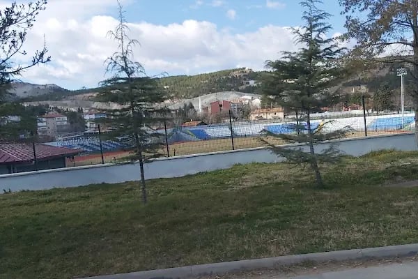 Beypazarı Stadı - Resim 11
