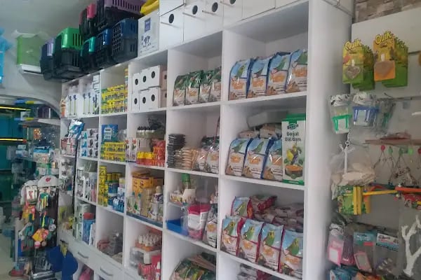 Trabzon Hobi petshop - Resim 14