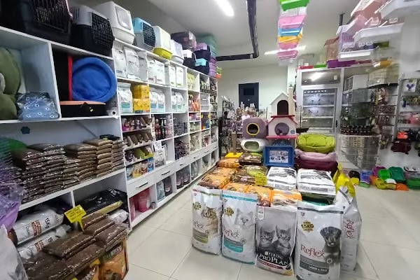 Trabzon Hobi petshop - Resim 3