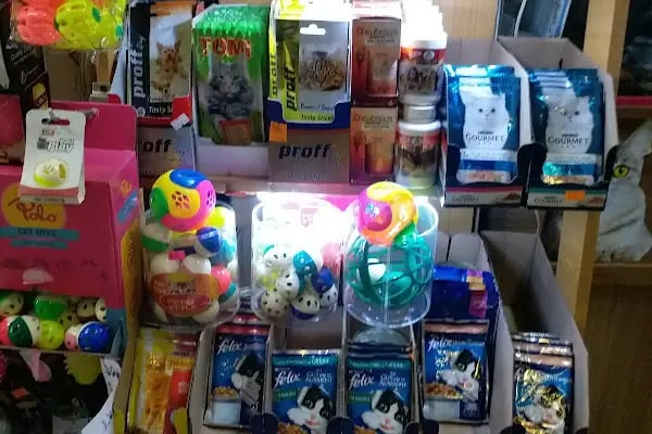 Trabzon Hobi petshop - Resim 12