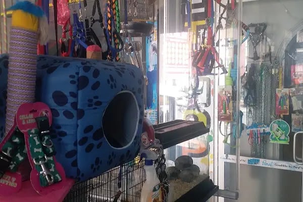 Trabzon Hobi petshop - Resim 5