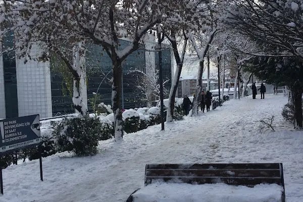 NECMİ TANYOLAÇ PARKI - Resim 5