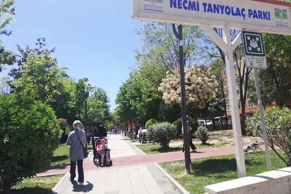 NECMİ TANYOLAÇ PARKI - Resim 8