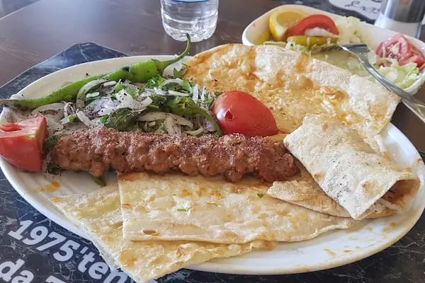 Bosna İşkembecisi - Resim 20