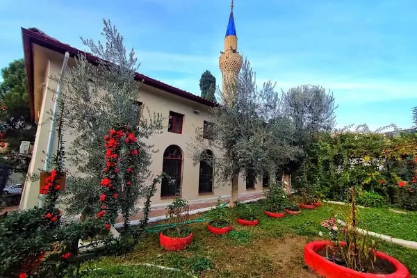 Arap Alanı Camii (Defterdar Mahmut Efendi) - Resim 4