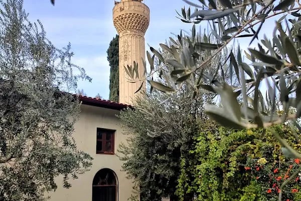 Arap Alanı Camii (Defterdar Mahmut Efendi) - Resim 1