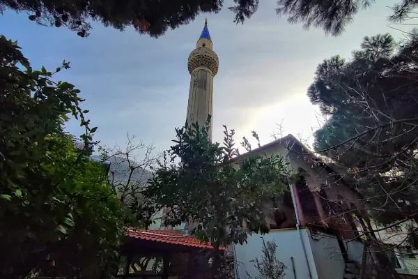 Arap Alanı Camii (Defterdar Mahmut Efendi) - Resim 12
