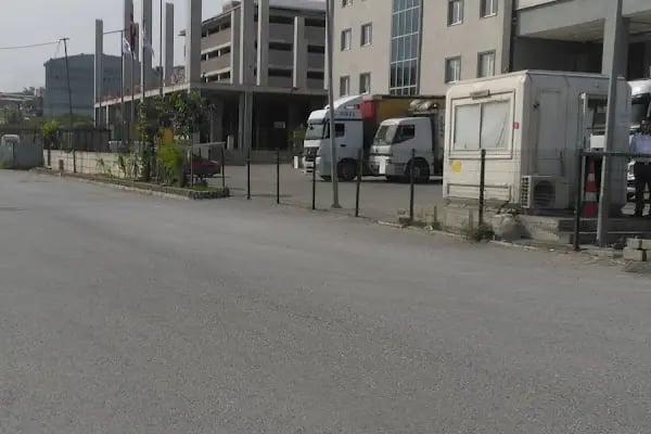 Bursa Pazarı - Resim 4