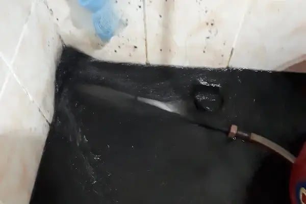 Evinizin doktoru teknik servis inegöl - Resim 13