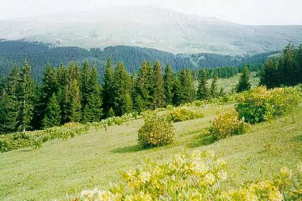 Aymaç Tabiat Parkı - Resim 17
