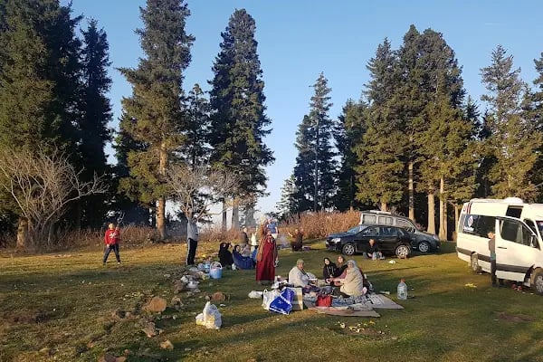 Aymaç Tabiat Parkı - Resim 11