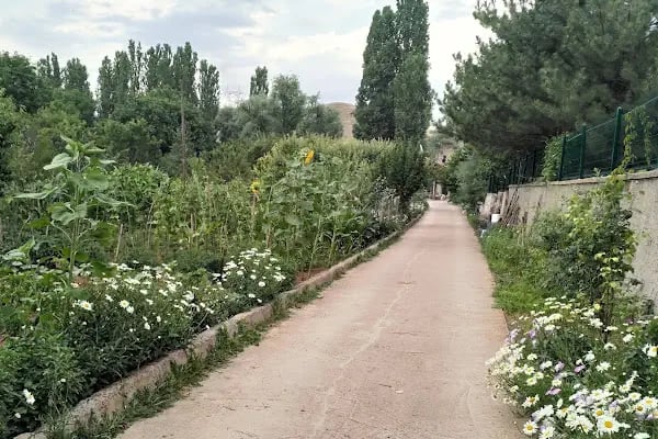 Bahçeden doğaya köy kahvaltısı - Resim 5