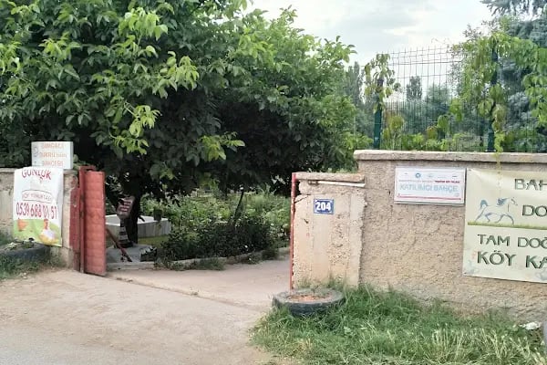 Bahçeden doğaya köy kahvaltısı - Resim 4