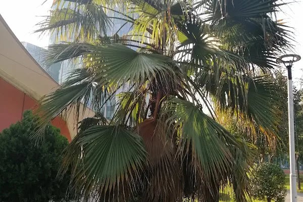 T.C. Bahçelievler Belediyesi Spor Parkı - Resim 18