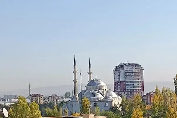 Hz. Ali Camii - Resim 7