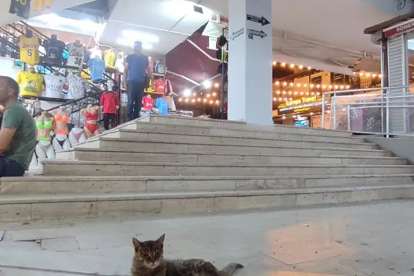 Soner Market - Resim 20