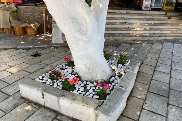 Soner Market - Resim 8