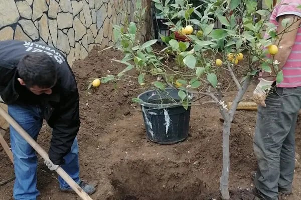 İzmir Aliağa Boya Tadilat Dekorasyon, Demir, kaynak, ferforje, çatı - Resim 8