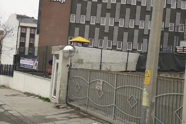ARNAVUTKÖY MAVİGÜN KOLEJİ - Resim 8