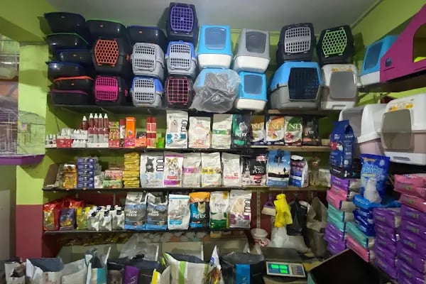 YENİDOĞAN PETSHOP - Resim 15